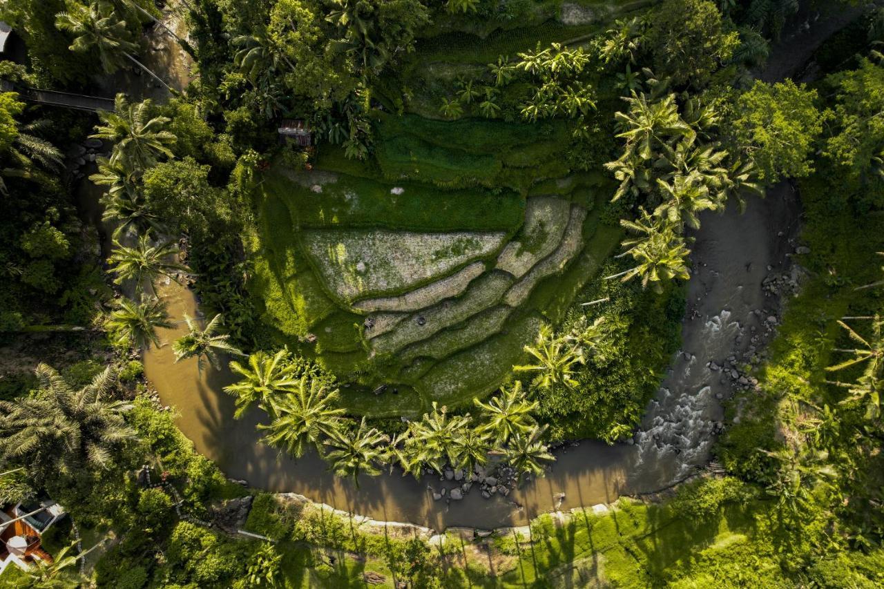 فيلا The Ridge Bali أوبود المظهر الخارجي الصورة